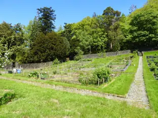 Monk Coniston Garden